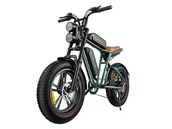 ENGWE M20–High-Speed Electric Bike for Urban&Off-Road Adventures 100W Powerful Motor 48V26AH Dual Battery Electric Bicycle